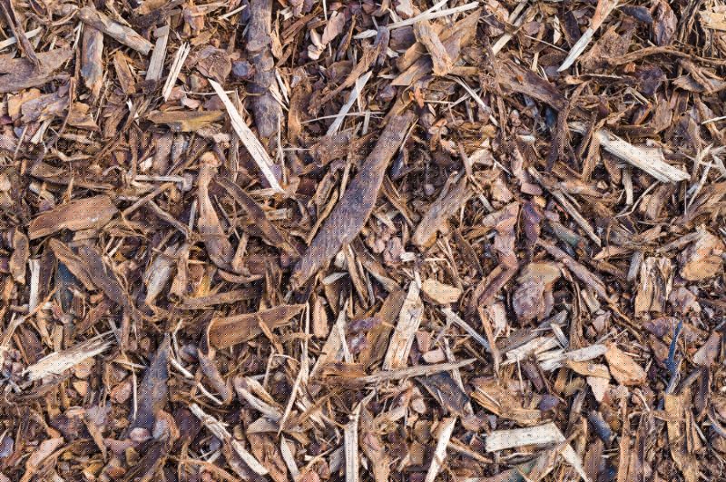 Bark Mulch Installation