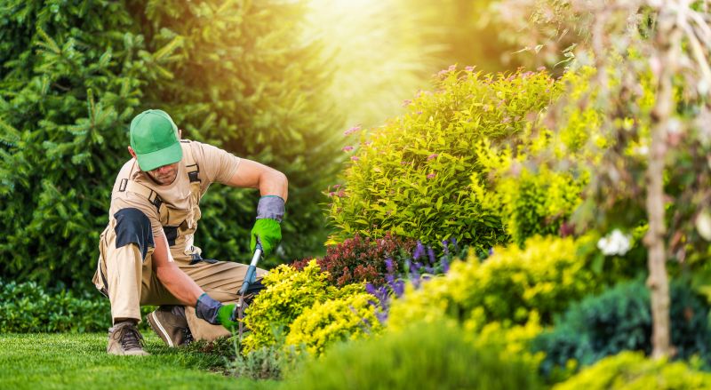 Commercial Garden Maintenance