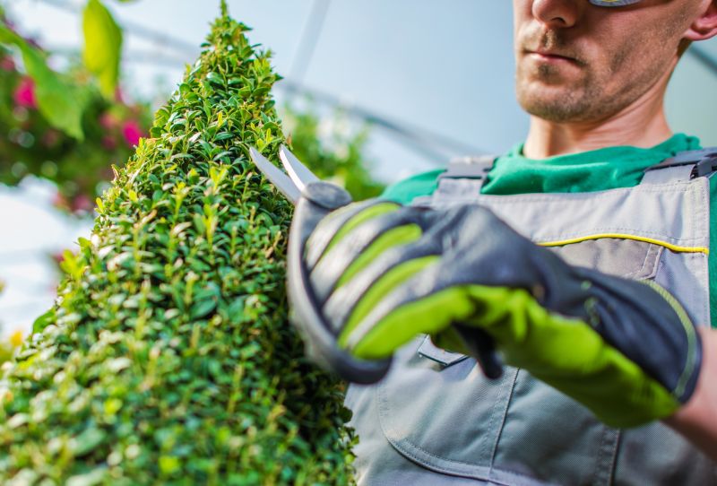 Garden Trimming Service