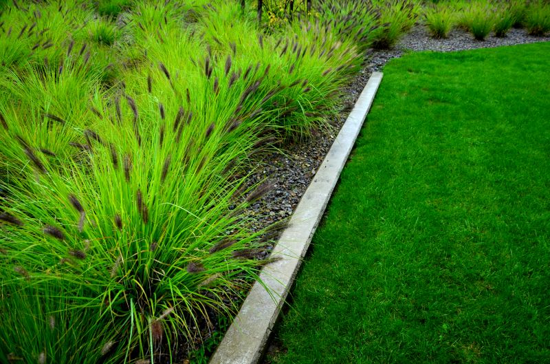 Lawn Edging Service