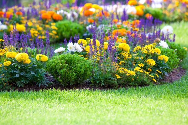 Flower Bed Maintenance in Brighton