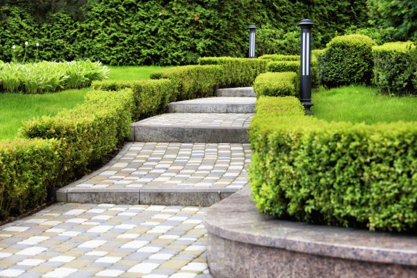 Backyard Remodeling in Brighton