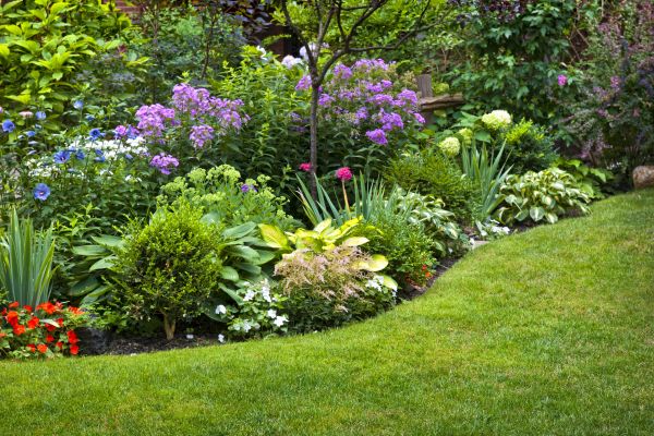 Flower Bed Service in Brighton