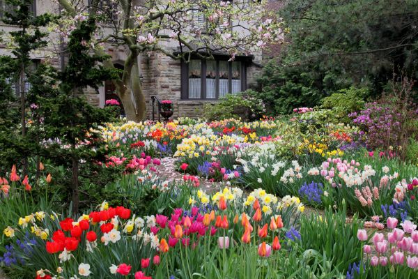 Garden Maintenance Service in Brighton