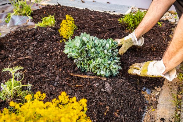 Weeding And Mulching in Brighton