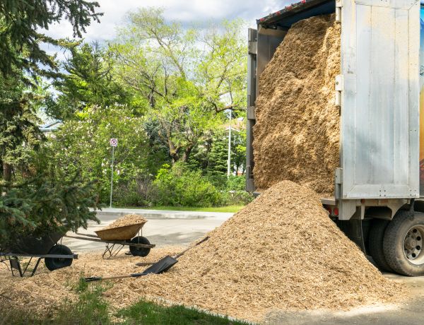 Wood Chips Delivery in Brighton