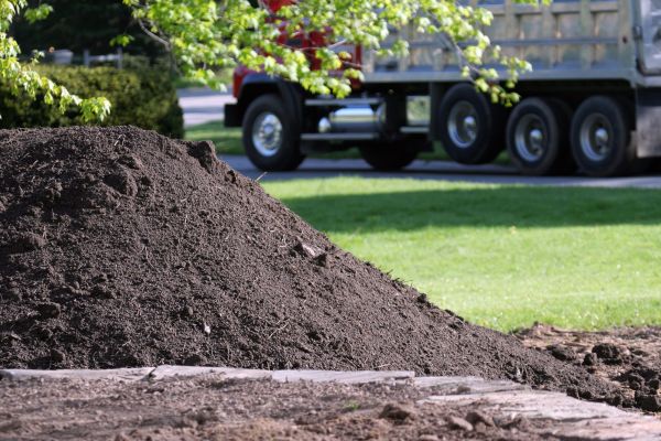 Yard Dirt Delivery in Brighton
