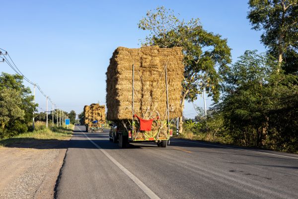 Pine Straw Delivery in Brighton