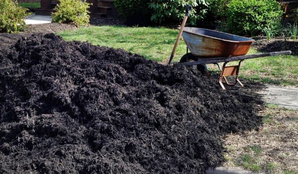 Black Mulch Delivery in Brighton