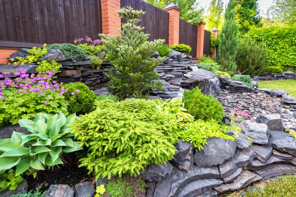 Landscape Remodeling in Brighton