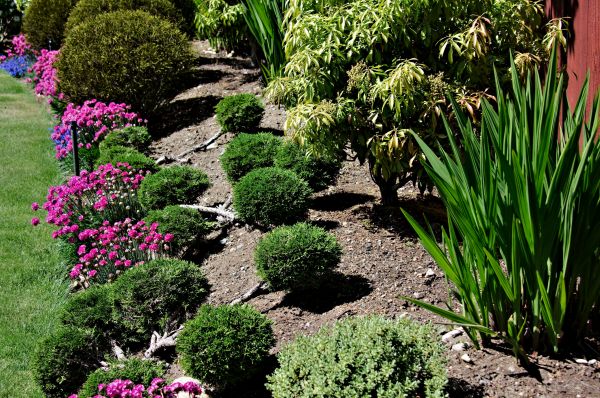 Residential Gardening in Brighton