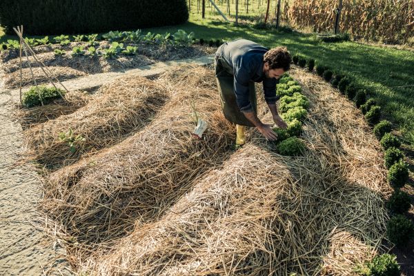 Straw Mulching Service in Brighton