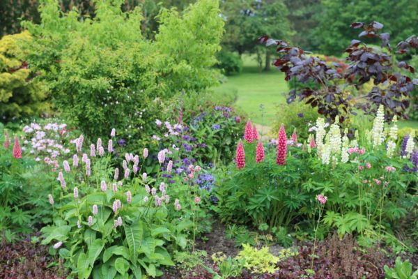 Flower Bed Planting in Brighton