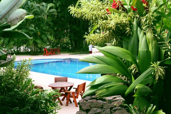 Tropical Garden Landscaping in Brighton