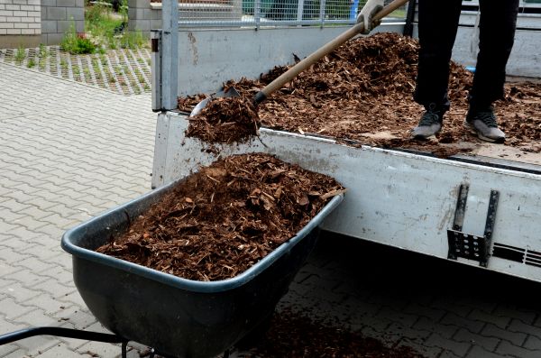 Cypress Mulch Delivery in Brighton