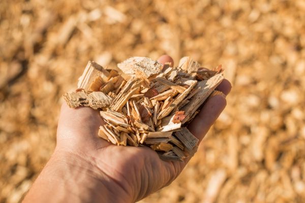 Wood Chips Spreading in Brighton