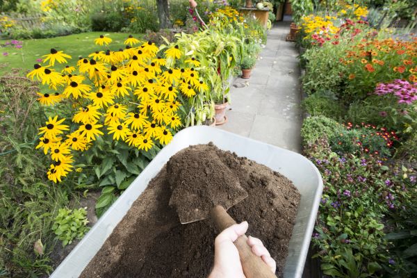Topsoil Replacement in Brighton