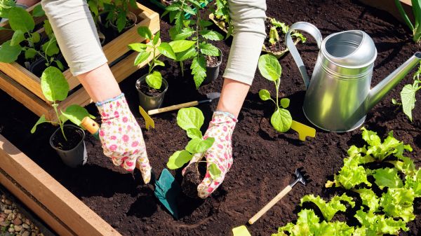 Garden Bed Installation in Brighton