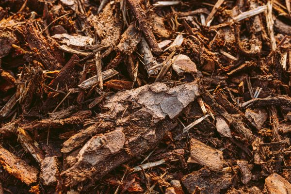 Bark Mulch Delivery in Brighton