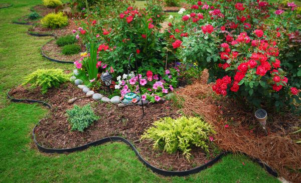 Floral Landscaping in Brighton