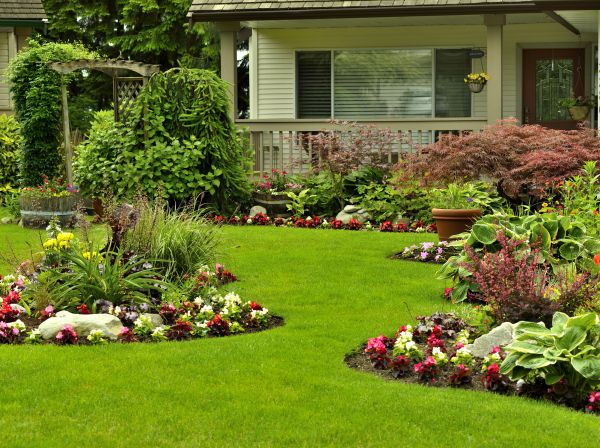 Flower Garden Planting in Brighton