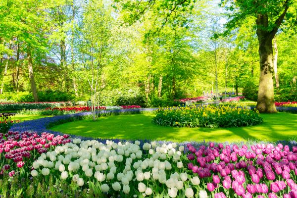 Flower Landscaping in Brighton