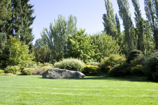 Yard Enlargement in Brighton