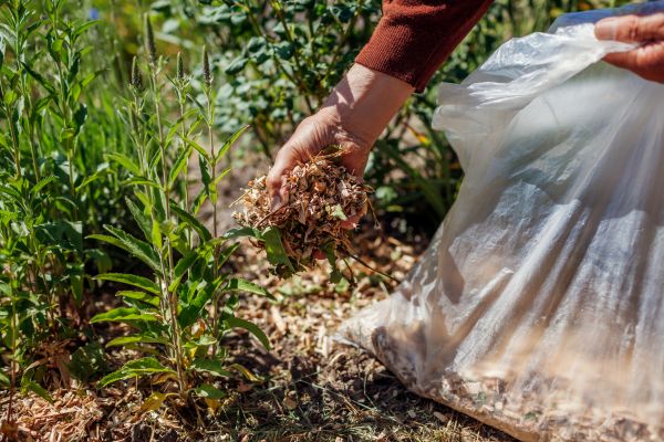 Wood Mulch Installation in Brighton