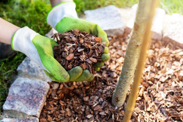 Tree Bark Delivery in Brighton