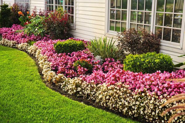 Garden Landscape Design in Brighton