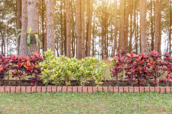 Small Garden Landscaping in Brighton