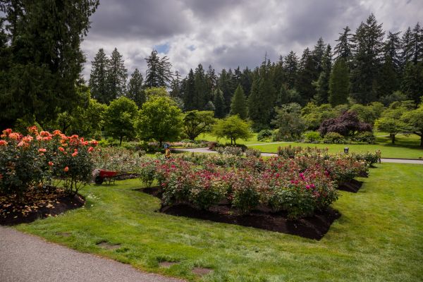 Flower Garden Landscaping in Brighton