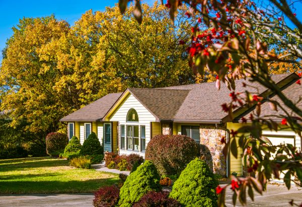 Ranch Landscaping in Brighton